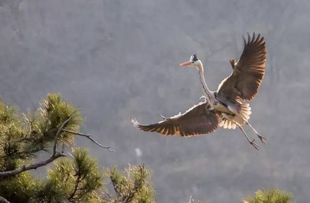 北京|北京周边自驾游，就去这些人少，景美的地方！