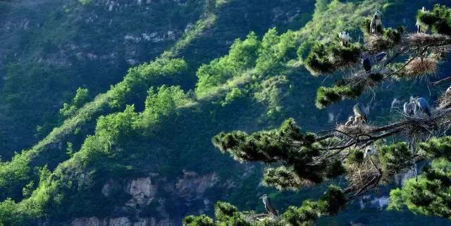 北京|北京周边自驾游，就去这些人少，景美的地方！