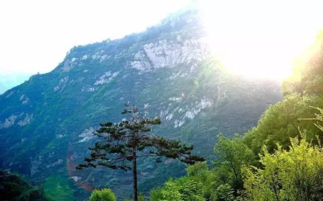 北京|北京周边自驾游，就去这些人少，景美的地方！