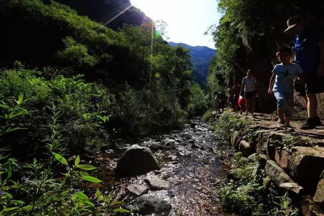 北京|北京周边自驾游，就去这些人少，景美的地方！