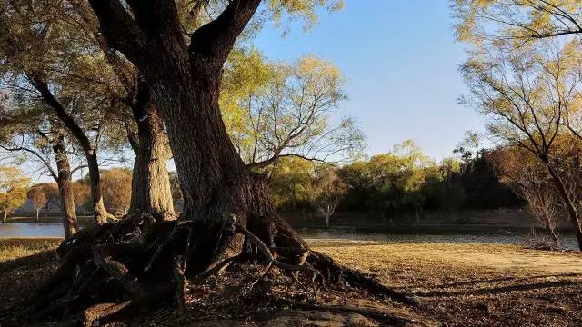北京|北京周边自驾游，就去这些人少，景美的地方！