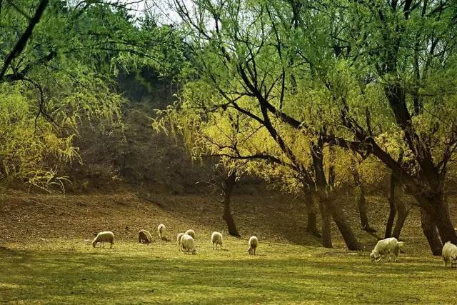 北京|北京周边自驾游，就去这些人少，景美的地方！