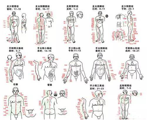 巧記經絡穴位掌握這些趣味歌訣事半功倍