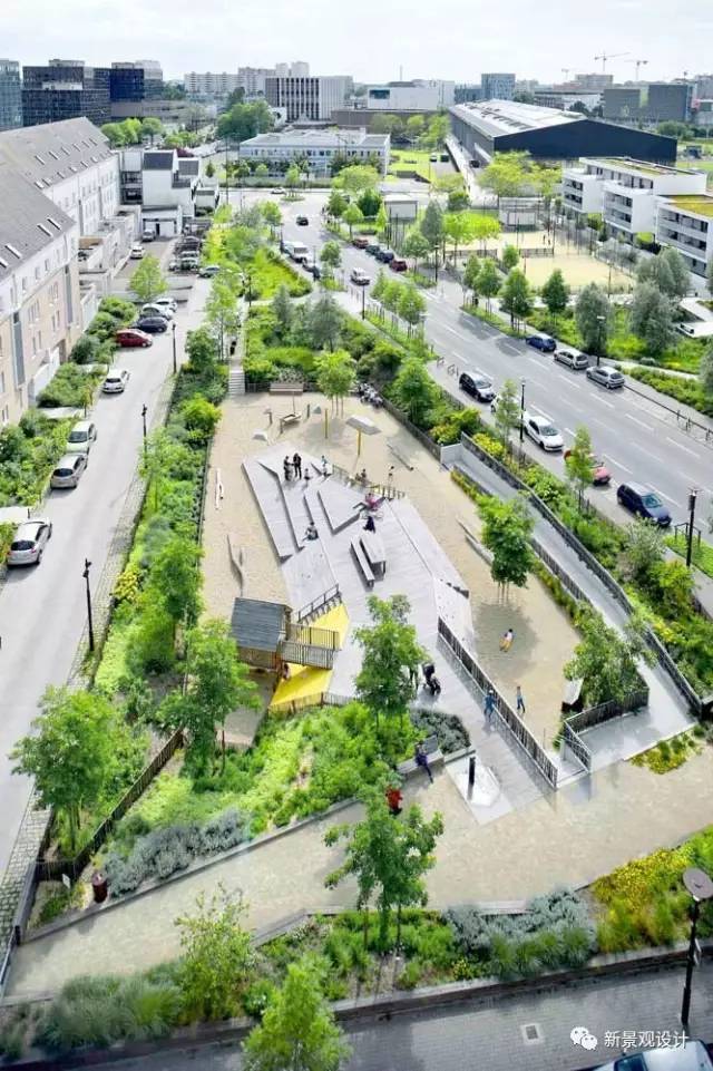 作为设计师,终身受用植物配置技巧!