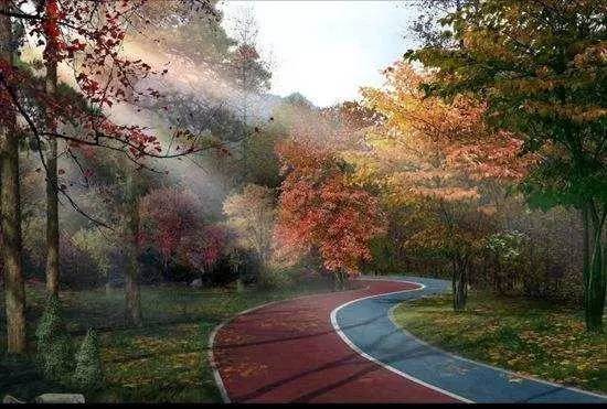 山里辛庄村|秋日到北京顺义登浅山步道，欣赏不一样的多彩美景