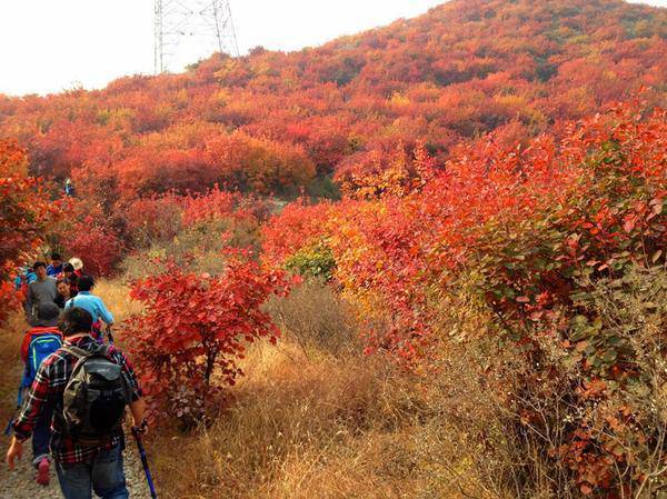 山里辛庄村|秋日到北京顺义登浅山步道，欣赏不一样的多彩美景