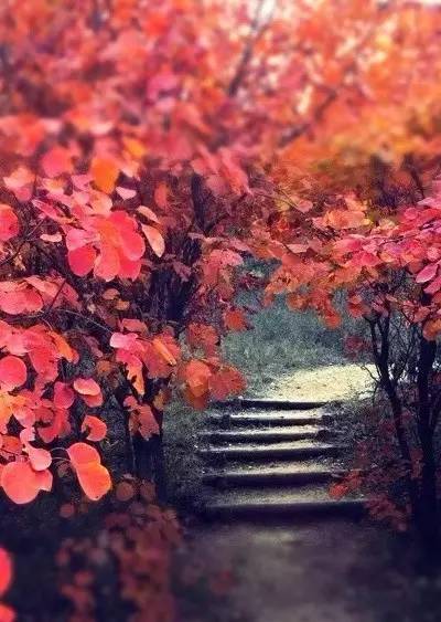 山里辛庄村|秋日到北京顺义登浅山步道，欣赏不一样的多彩美景