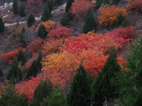山里辛庄村|秋日到北京顺义登浅山步道，欣赏不一样的多彩美景