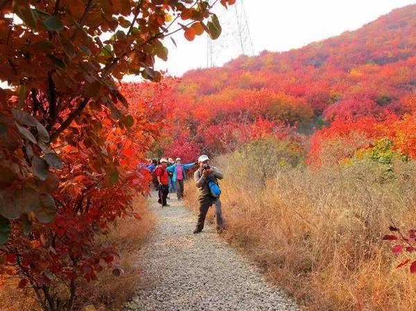 山里辛庄村|秋日到北京顺义登浅山步道，欣赏不一样的多彩美景