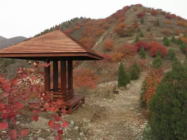 山里辛庄村|秋日到北京顺义登浅山步道，欣赏不一样的多彩美景