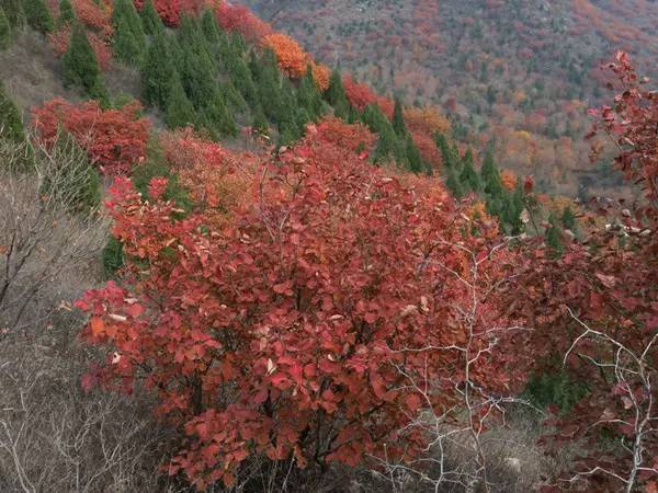 山里辛庄村|秋日到北京顺义登浅山步道，欣赏不一样的多彩美景