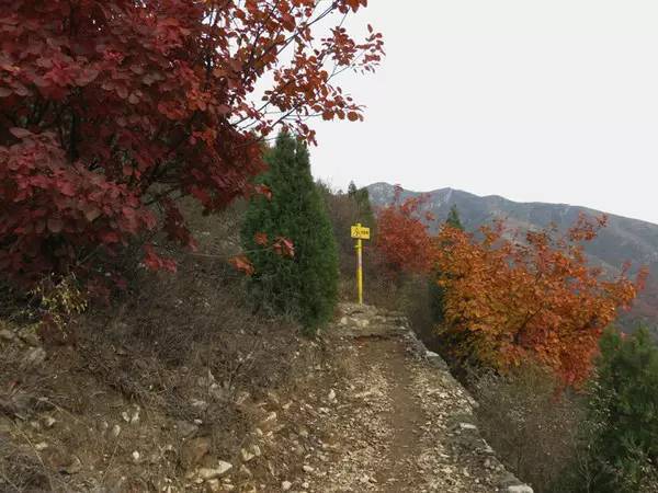 山里辛庄村|秋日到北京顺义登浅山步道，欣赏不一样的多彩美景