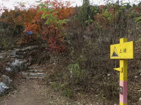 山里辛庄村|秋日到北京顺义登浅山步道，欣赏不一样的多彩美景