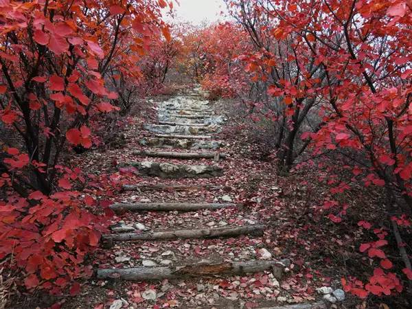 山里辛庄村|秋日到北京顺义登浅山步道，欣赏不一样的多彩美景