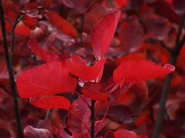 山里辛庄村|秋日到北京顺义登浅山步道，欣赏不一样的多彩美景
