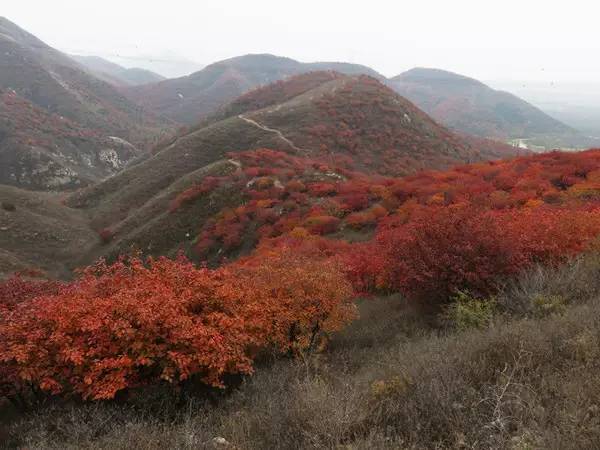 山里辛庄村|秋日到北京顺义登浅山步道，欣赏不一样的多彩美景