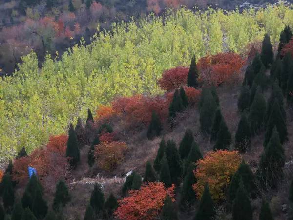 山里辛庄村|秋日到北京顺义登浅山步道，欣赏不一样的多彩美景