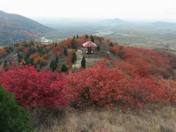 山里辛庄村|秋日到北京顺义登浅山步道，欣赏不一样的多彩美景