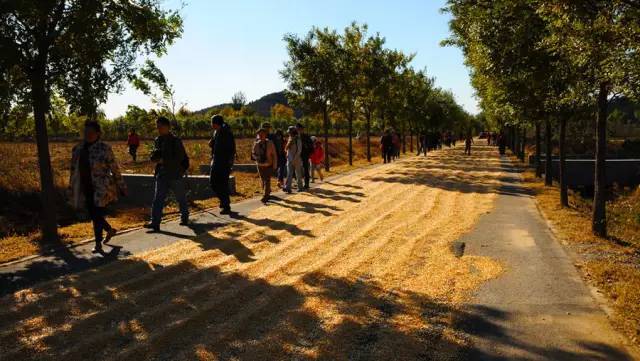 山里辛庄村|秋日到北京顺义登浅山步道，欣赏不一样的多彩美景