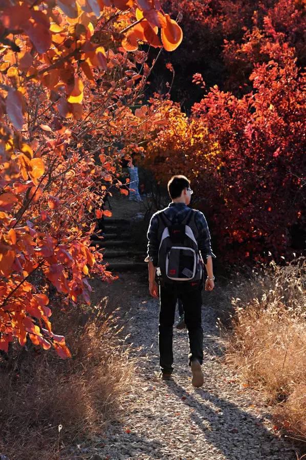 山里辛庄村|秋日到北京顺义登浅山步道，欣赏不一样的多彩美景
