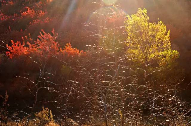 山里辛庄村|秋日到北京顺义登浅山步道，欣赏不一样的多彩美景