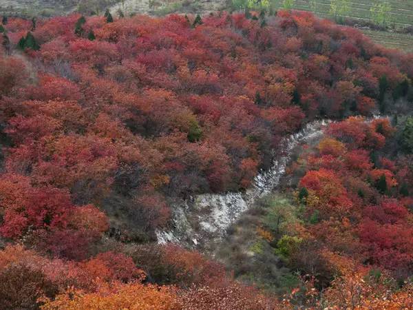 山里辛庄村|秋日到北京顺义登浅山步道，欣赏不一样的多彩美景