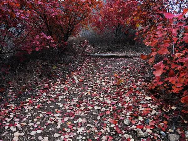 山里辛庄村|秋日到北京顺义登浅山步道，欣赏不一样的多彩美景