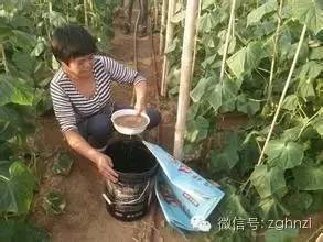 液体肥料有6种 千万别买这样的 腾讯新闻