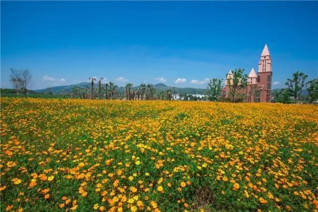 桐城花间塘旅游风景区图片