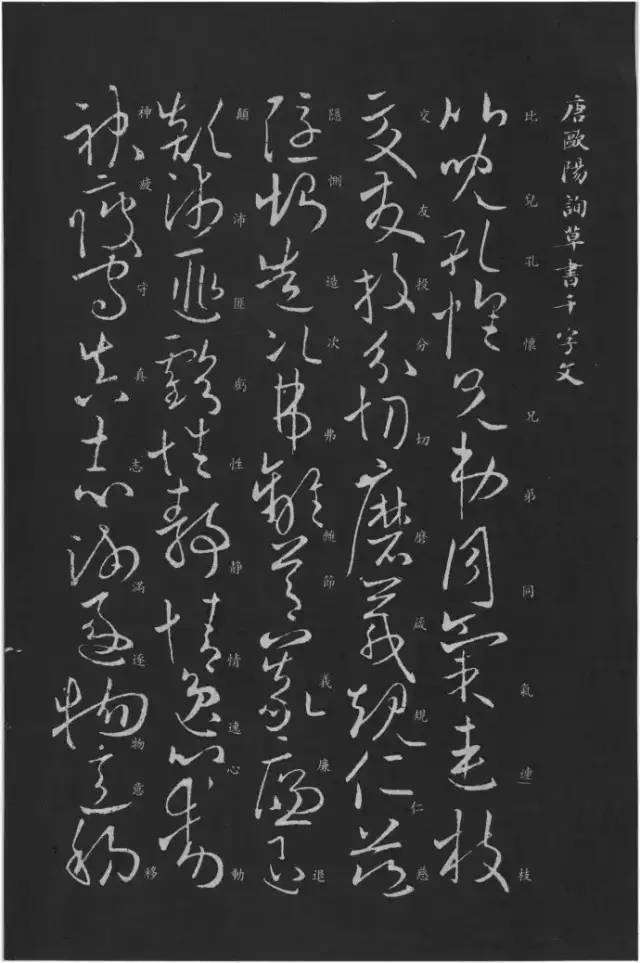 欧阳询|欧阳询曾写过《草书千字文》？！