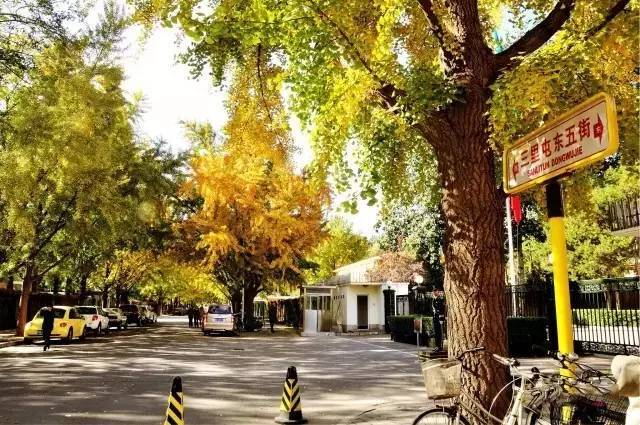 北京|一到秋天，北京就美成了北平