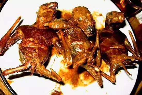 烤竹鼠肉12驳回理由:蟋蟀做法是剔去蟋蟀翅膀和内脏油炸,这种食物虽然