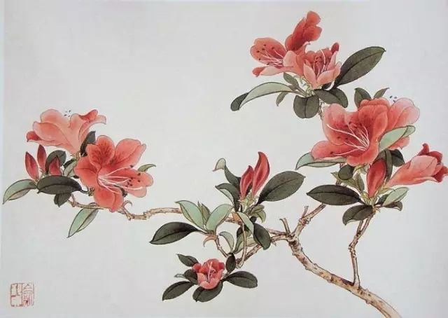 画谱|工笔花卉画谱40幅