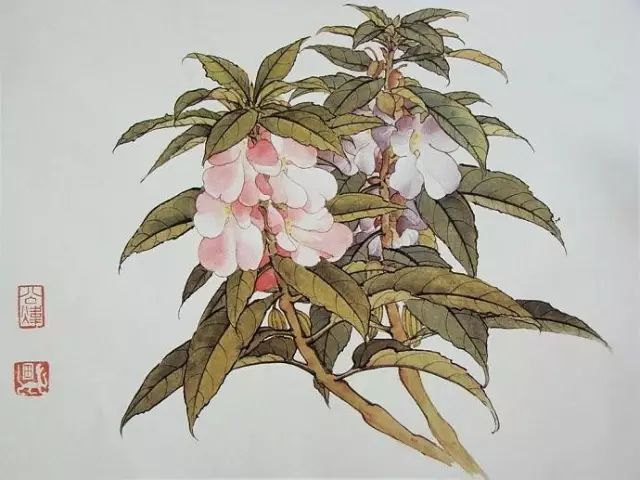 画谱|工笔花卉画谱40幅