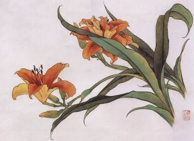 画谱|工笔花卉画谱40幅