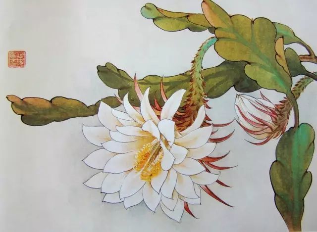 画谱|工笔花卉画谱40幅