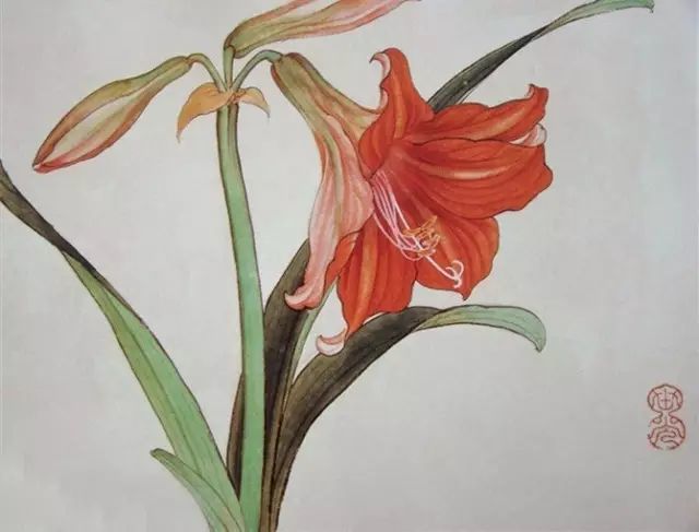 画谱|工笔花卉画谱40幅