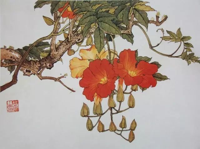 画谱|工笔花卉画谱40幅