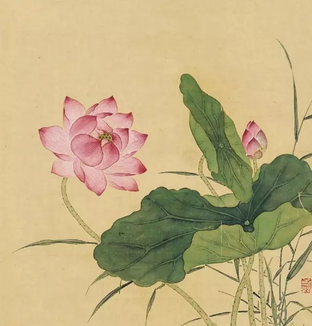 画谱|工笔花卉画谱40幅