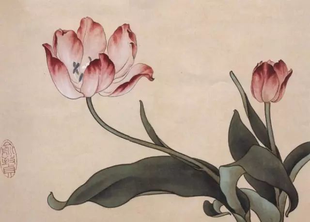 画谱|工笔花卉画谱40幅