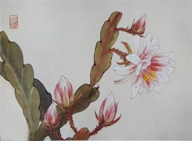 画谱|工笔花卉画谱40幅