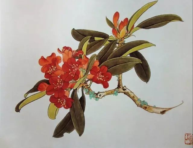 画谱|工笔花卉画谱40幅