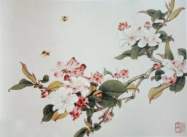 画谱|工笔花卉画谱40幅