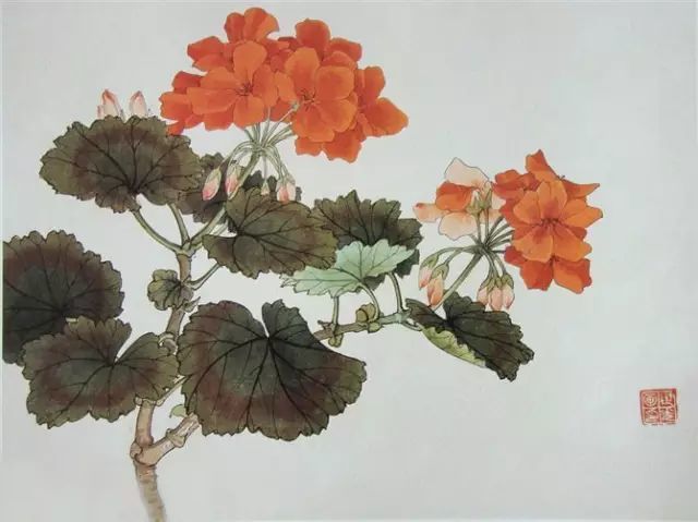 画谱|工笔花卉画谱40幅
