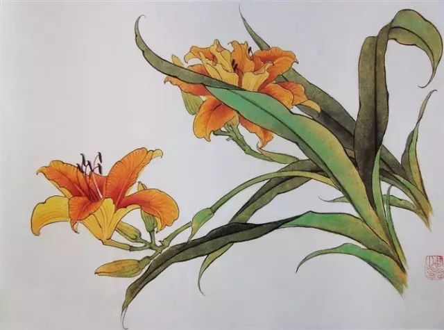 画谱|工笔花卉画谱40幅