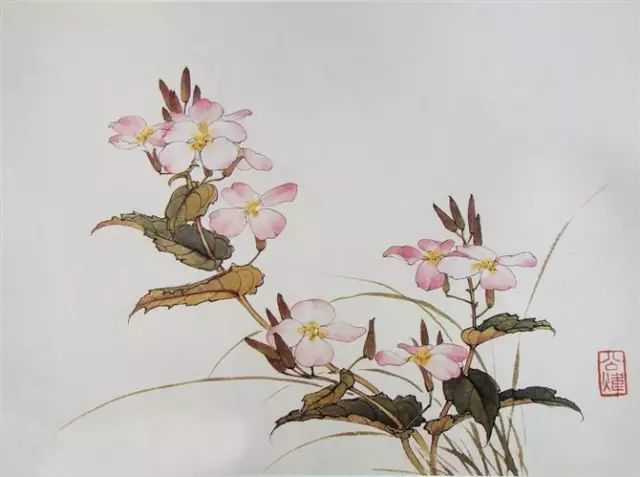 画谱|工笔花卉画谱40幅