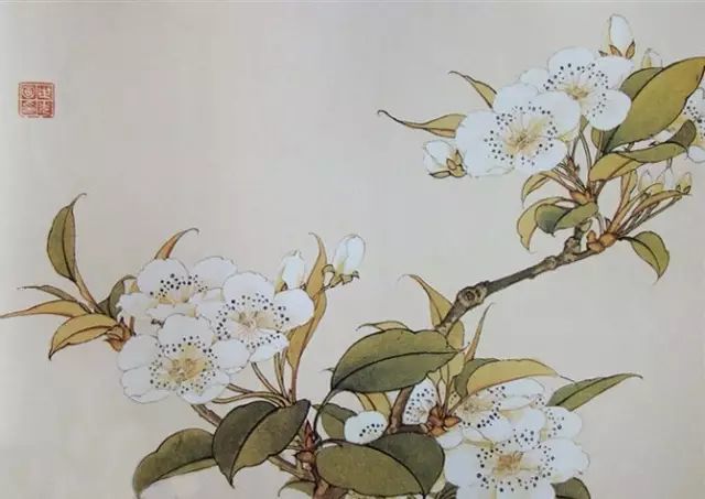 画谱|工笔花卉画谱40幅