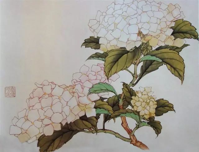画谱|工笔花卉画谱40幅