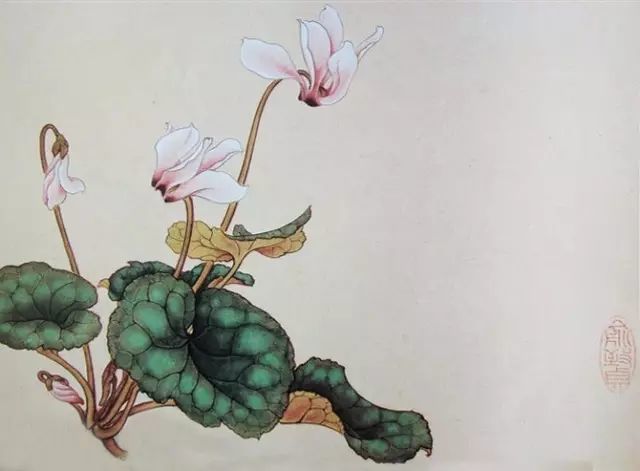 画谱|工笔花卉画谱40幅