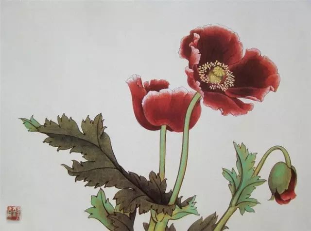 画谱|工笔花卉画谱40幅